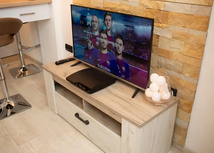 公寓 Dream Lux 科帕奥尼克